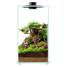 Bioloark Bio Bottle FD200 cm22x22x41h - terrario...