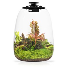 Bioloark Bio Bottle QD205 cm21,7x26h - terrario a bolla...