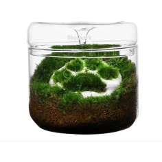 Bioloark Luji Glass Cup MY-150 cm15x16h - terrario in...