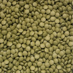 Tropical 3-Algae Tablets B 50ml/200pz - compresse affondanti ad alto contenuto di alghe 2