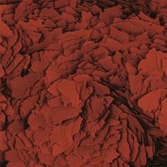 Tropical Astacolor - Flakes Pigmentante 2