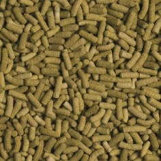 Tropical Biorept L - stick ricchi di ingredienti per tartarughe terrestri 2