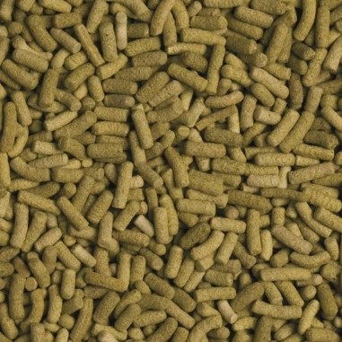 Tropical Biorept L - stick ricchi di ingredienti per tartarughe terrestri