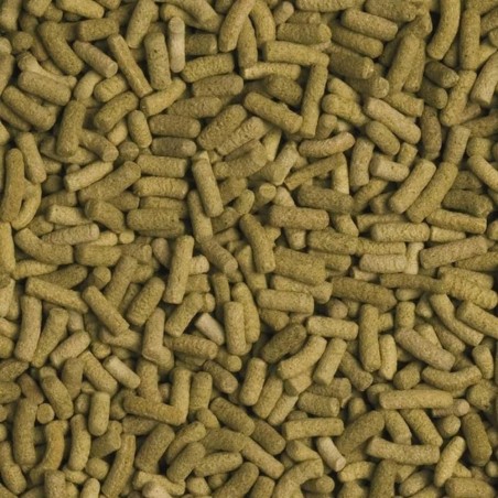 Tropical Biorept L - stick ricchi di ingredienti per tartarughe terrestri