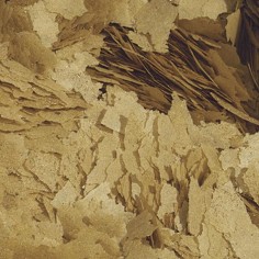 Tropical Breeder Mix - Secchiello Allevatori - 5000ml / 1Kg 2