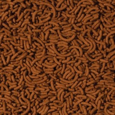 Tropical Cichlid Arowana - Medium Sticks 2