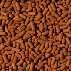 Tropical Cichlid Arowana Large Sticks 2