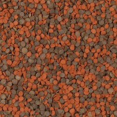 Tropical Cichlid Chips - mangime per ciclidi per intensificare i colori 2