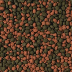 Tropical Cichlid Omnivore Medium Pellet - mangime per ciclidi onnivori, granulometria medio grande 2