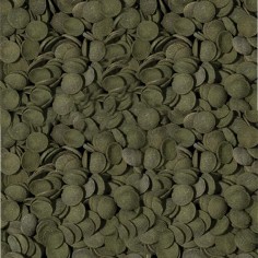 Tropical Green Algae Wafers – Mangime per tutti I pesci che si nutrono di alghe 2