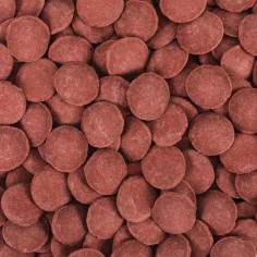 Tropical Hi-Protein Discs XXL 250ml/125gr - Pastiglie Proteiche per Pesci da Fondo di Grandi Dimensioni 2