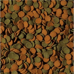 Tropical Mini Wafer Mix 2