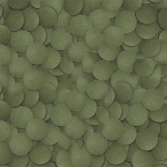 Tropical Pleco's Tablets 50ml/30gr - Alimento per Loricaridi 2