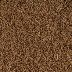 Tropical Red Mico 100ml - Larve di Chironomus liofilizzate 2