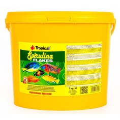 Tropical Spirulina Flakes