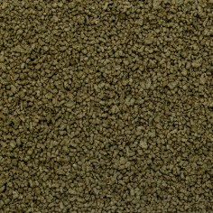 Tropical Spirulina Granulat - mangime vegetale granulato con elevato contenuto in alghe Spirulina 2