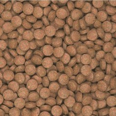 Tropical Supervit Tablets A 50ml/80pz 2