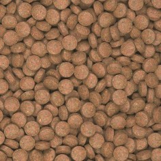 Tropical Supervit Tablets B 50ml/200pz 2