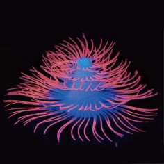 AQL Decor Fluo modello 10P cm12x12x7h - decorazione in silicone fluorescente 2