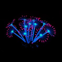 AQL Decor Fluo modello 12P cm11x11x8h - decorazione in silicone fluorescente 2