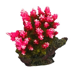 AQL Decorazione Corallo in Resina Modello Acropora 4 cm8x6x7h