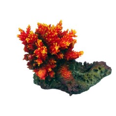 AQL Decorazione Corallo in Resina Modello Acropora 6 cm9x6x7h