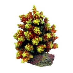 AQL Decorazione Corallo in Resina Modello Acropora 7 cm6x6x8h