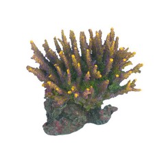 AQL Decorazione Corallo in Resina Modello Acropora 9 cm14x10x12h