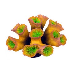 AQL Decorazione Corallo in Resina Modello Euphyllia Yellow Large cm13x10x7h