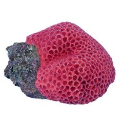 AQL Decorazione Corallo in Resina Modello Goniopora Purple cm20x15x11h