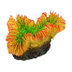 AQL Decorazione Corallo in Resina Modello Plerogyra Yellow Type 2 cm9x6x5h