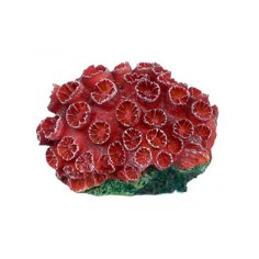 AQL Decorazione Corallo in Resina Modello Tubastrea Red Small cm8x6x4h