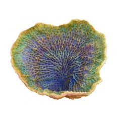 AQL Decorazione Corallo in Resina Modello Turbinaria 2 cm17x14x11h