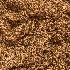 AQL Resina Deionizzante a Viraggio di Colore 2