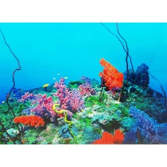 AQL Sfondo Esterno con Modello Natural Back cm 100x50H