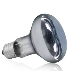 AQL Terra DayHeat Lamp Attacco E27 - Lampada riscaldante diurna per terrari 2