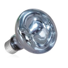 AQL Terra DayHeat Lamp Attacco E27 - Lampada riscaldante diurna per terrari