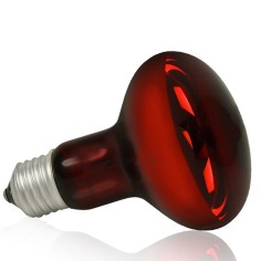 AQL Terra NightHeat Lamp Attacco E27 - Lampada riscaldante notturna per terrari 2