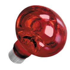 AQL Terra NightHeat Lamp Attacco E27 - Lampada riscaldante notturna per terrari