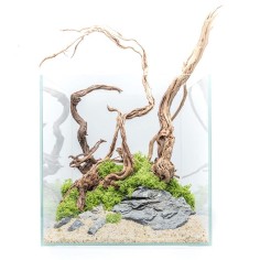 Aqpet Kubic 30 - vasca in vetro extrachiaro cm30x30x30h 2