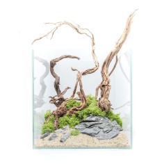 Aqpet Kubic 40 - vasca in vetro extrachiaro cm40x40x40h 2