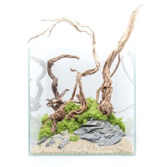 Aqpet Kubic 50 - vasca in vetro extrachiaro cm50x50x50h 2