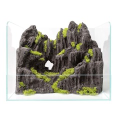 Aqpet Swamp 50 - paludario in vetro extrachiaro cm50x35x40h 2