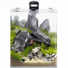 Aquael OptiBent Set 30 cm29x29x35h 29L - acquario accessoriato in vetro extrachiaro