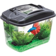 Aquael Betta Kit cm23,7x15,4x17,3h - acquario in plastica per Betta 2