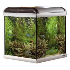 Ferplast Acquario Star Cube cm 67x62x67,5h - litri 230 senza supporto