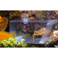 AquaMedic 501.81 Trap-Pest - Trappola Universale per Granchi, Vermi e Idrobidi - cm 15x7x7h 2