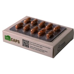 AquaArt Planta Gainer Caps - compresse fertilizzanti da fondo 2