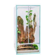 AQL High Terrarium - terrario in vetro a sviluppo verticale 2