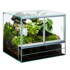 AQL Terrario in Vetro - cm30x25x25h 2
